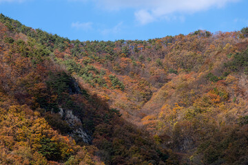 mountain in autumn