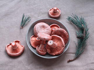Saffron milk cap mushrooms on gray ceramic plate on linen fabric background. Edible red pine...