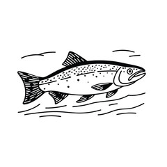 salmon fish vector design, labeled line and fill art silhouette illustration.