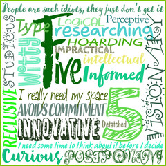 enneagram type 5 fun, color, graphic using type descriptions