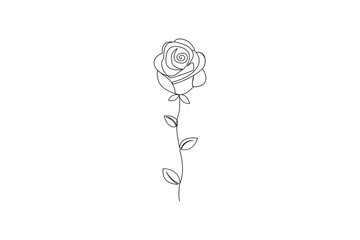 Continuous One line rose flower with editable stroke
