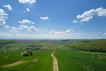 Fototapeta premium Aerial view of green farm fields in summer season with growing crops. Farming and agriculture industry