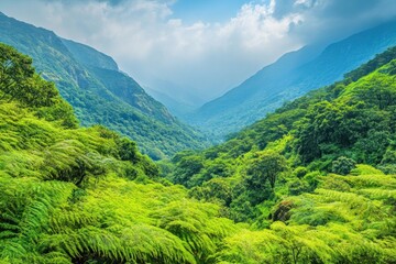 Obraz premium Lush green valley surrounded by mountains under a cloudy sky, showcasing nature's beauty.