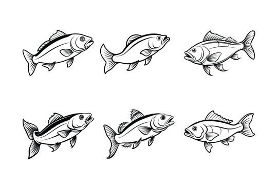 cod fish design, labeled line art vector silhouette illustration.