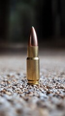 A close-up of a bullet standing upright on a textured surface, highlighting its metallic design.