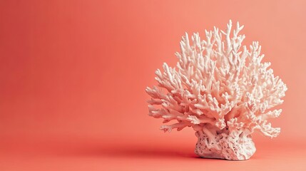 White Coral Branch on a Coral Pink Background