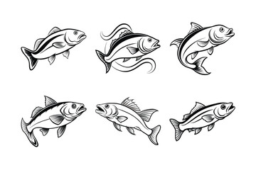 Obraz premium mackerel fish vector design, labeled line art silhouette illustration.
