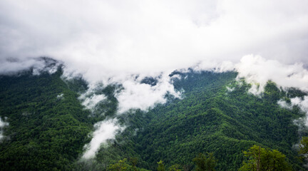 a misty mountain landscape with lush greenery, where low-hanging clouds intertwine with the dense forest on the slopes, creating a serene and mystical atmosphere