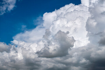Florida weather. Blue sky with white summer rain clouds. Colorful summer landscape