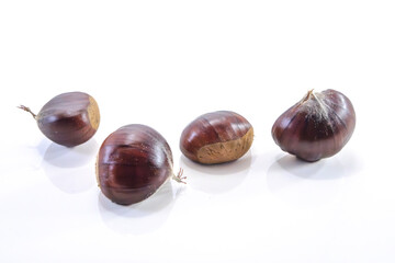 chestnut group,Castanea sativa, 
