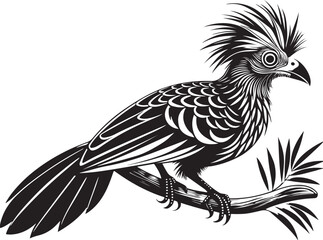 Fototapeta premium hoatzin vector bird illustration design transparent background