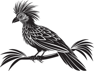 Naklejka premium hoatzin vector bird illustration design transparent background