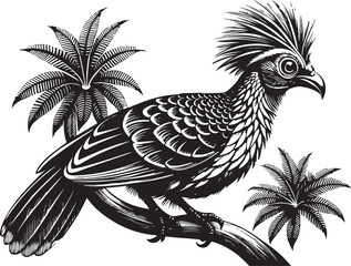 Fototapeta premium hoatzin vector bird illustration design transparent background