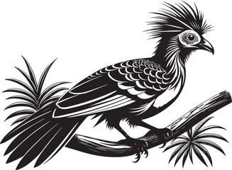 Fototapeta premium hoatzin vector bird illustration design transparent background