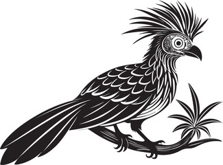 Obraz premium hoatzin vector bird illustration design transparent background