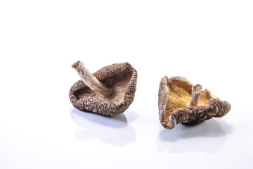 dehydrated shitake, Lentinula edodes group