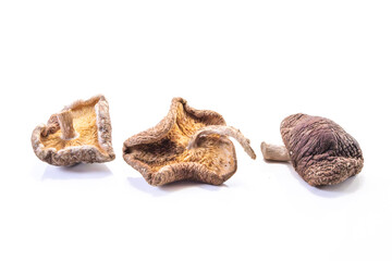 dehydrated shitake, Lentinula edodes group