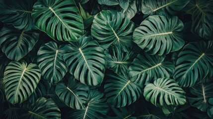 Tropical Leaf Pattern