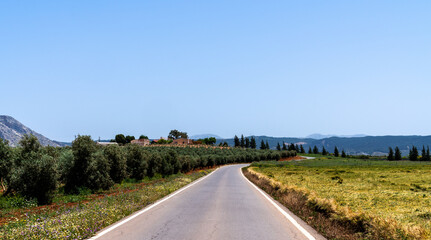 A winding road leads through the lush Spanish countryside, flanked by olive groves and wildflowers. In the distance, traditional farmhouses are nestled among trees.