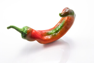  Italian sweet bell pepper  red, Capsicum annuum