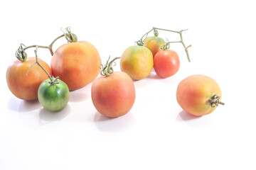 Solanum lycopersicum,hanging tomato composition