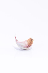 garlic alone, Allium sativum