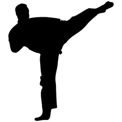 A set of silhouettes of a karate in different poses. Karate fighters silhouette.