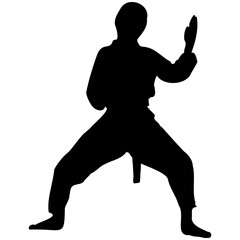 A set of silhouettes of a karate in different poses. Karate fighters silhouette.