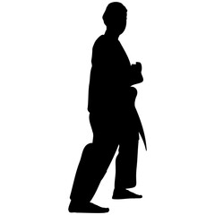 A set of silhouettes of a karate in different poses. Karate fighters silhouette.