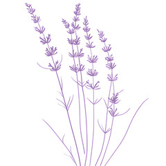 Obraz premium modern 2D doodle cartoon flower concept with open space for text, featuring whimsical floral and leafy elements on crisp white backgrounds.