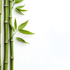 Naklejka premium modern 2D doodle cartoon flower concept with open space for text, featuring whimsical floral and leafy elements on crisp white backgrounds.