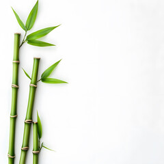 modern 2D doodle cartoon flower concept with open space for text, featuring whimsical floral and leafy elements on crisp white backgrounds.