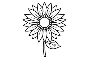 Sunflower Line Isolated Vector Illustration Art