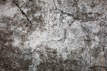 stone wall texture