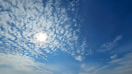 Beautiful Landscape with Clear Blue Sky Background and Vibrant Views
