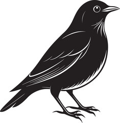 Fototapeta premium nightingale bird vector illustration transparent background