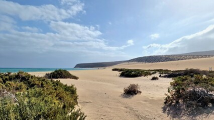 A serene landscape of a sandy beach with scattered green shrubs under a blue sky. The ocean meets the shore in the distance, while sand dunes rise to the right, showcasing untouched natural beauty.