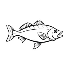 sea bass fish design, labeled line art vector silhouette illustration.