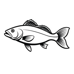 sea bass fish design, labeled line art vector silhouette illustration.