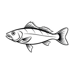 sea bass fish design, labeled line art vector silhouette illustration.