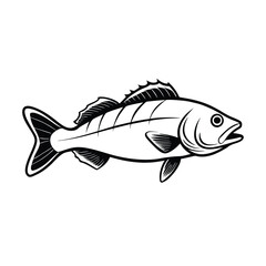 sea bass fish design, labeled line art vector silhouette illustration.