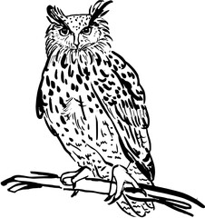Christmas animal owl.Hand drawn ink vector illustration.
