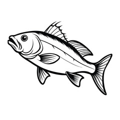 sea bass fish design, labeled line art vector silhouette illustration.