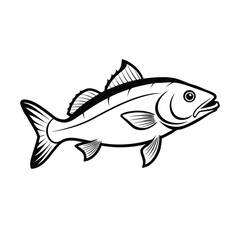 sea bass fish design, labeled line art vector silhouette illustration.