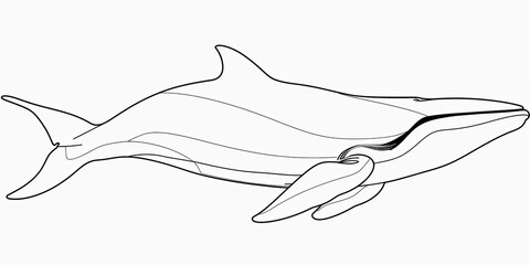 Line art of an enchanted forest with mythical creatures, isolated on a white background