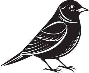 Fototapeta premium Palmchat bird vector illustration