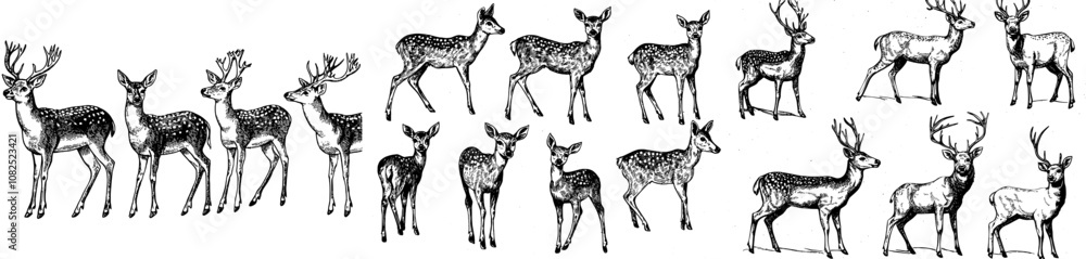 Poster set of abstract and minimalist linear icons depicting deer in continuous line art drawing style. mod