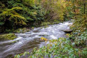 Ein reißender Fluss im Herbst.