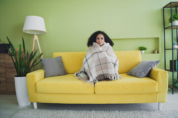 Full size photo of pretty young woman covered blanket couch green interior living room apartment...