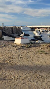 Seagull standing proudly on a red and white concrete block at tabarca island harbor
